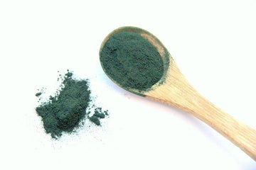 Introducing Spirulina, the Powerhouse Nutrient in sho Balance Vegan Probiotics-sho Nutrition LLC